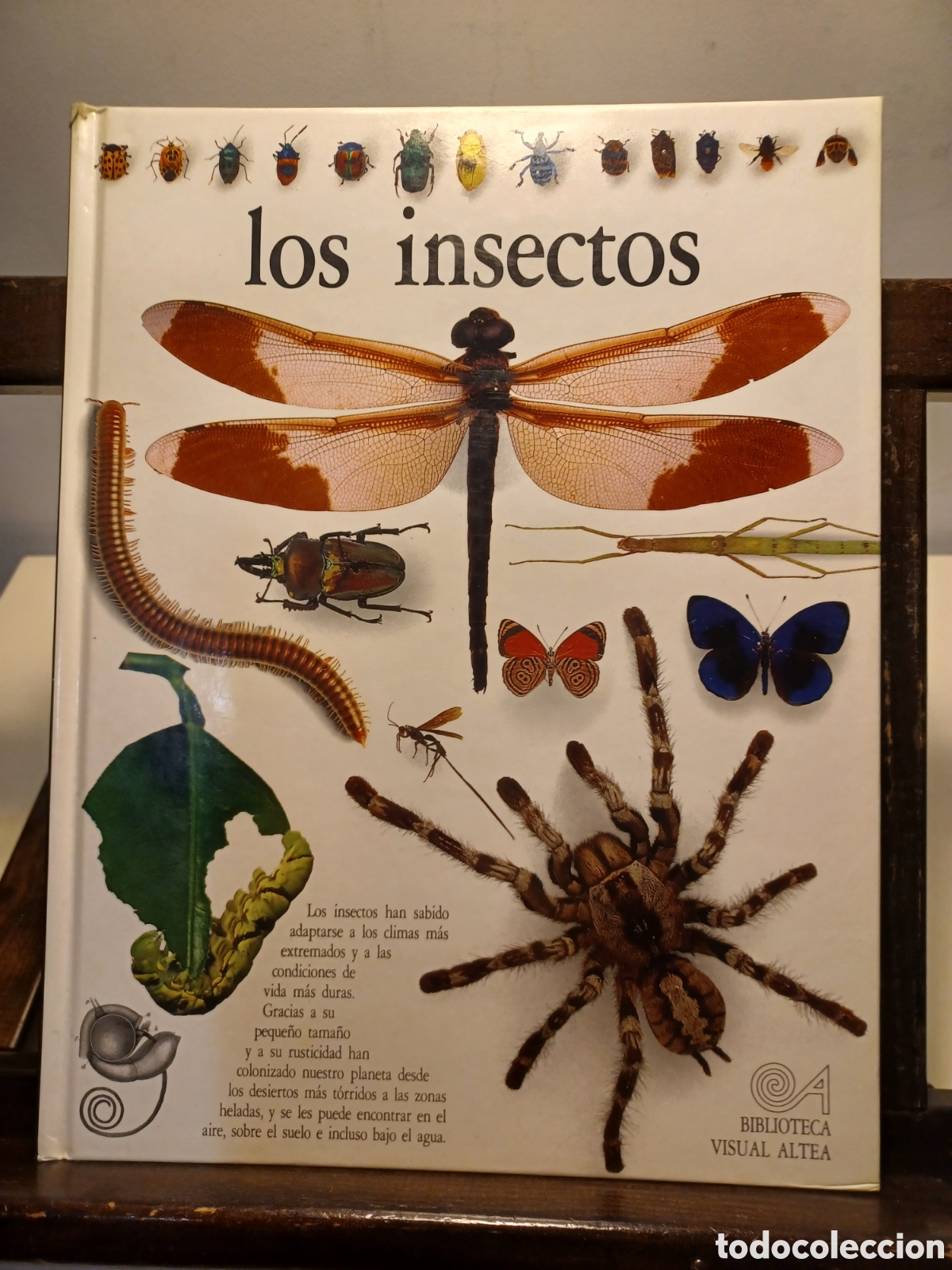 Libros de segunda mano: Los insectos/ VVAA/ Biblioteca Visual Altea, 1991 - Foto 1