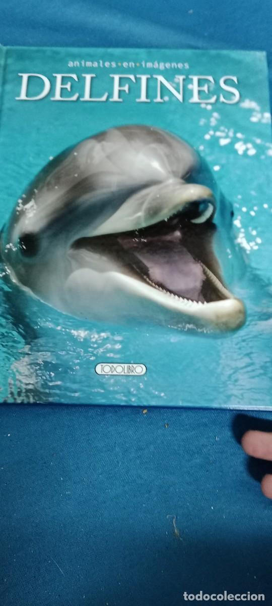 Libros de segunda mano: ANIMALES EN IMAGENES DELFINES LIBRO CU - Foto 1