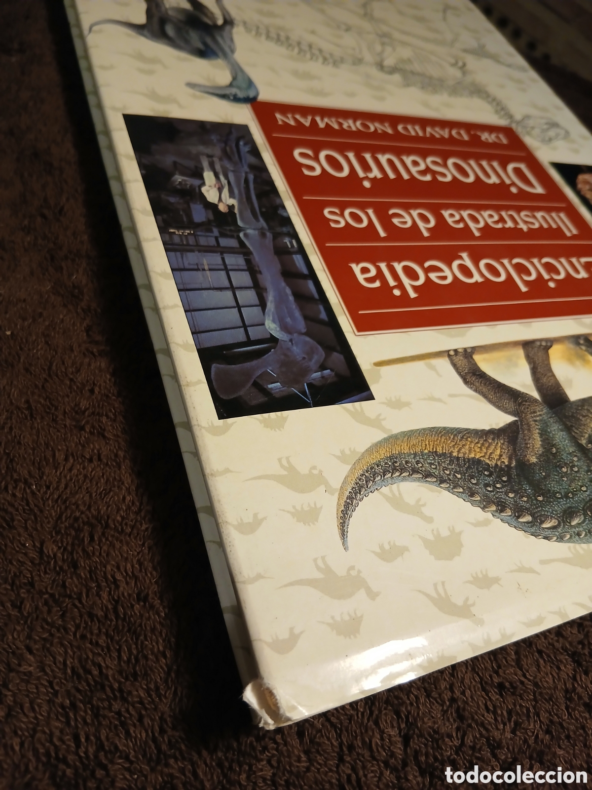 Libros de segunda mano: Enciclopedia Ilustrada de los dinosaurios. Dr. David Norman. - Foto 8