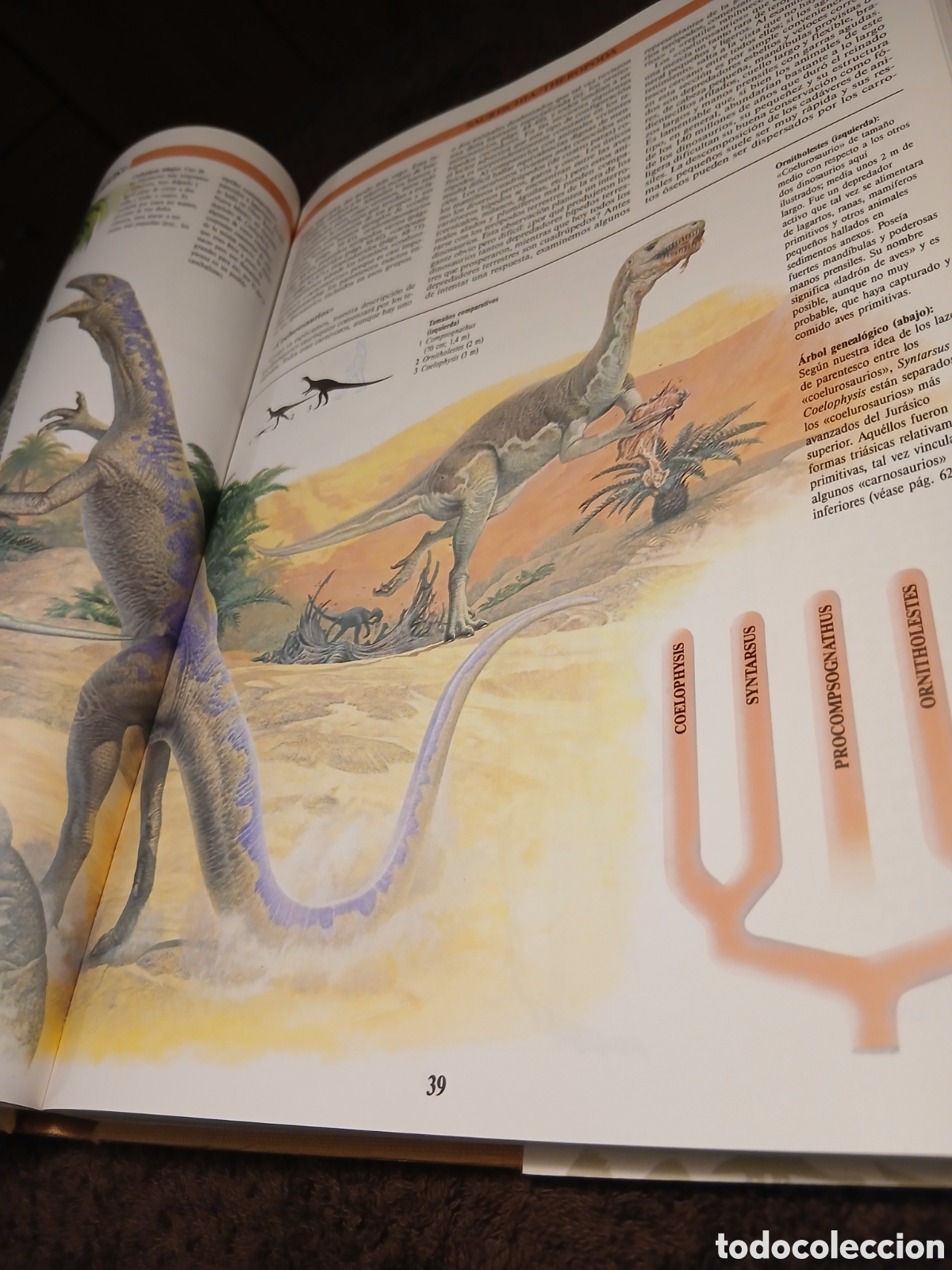 Libros de segunda mano: Enciclopedia Ilustrada de los dinosaurios. Dr. David Norman. - Foto 11