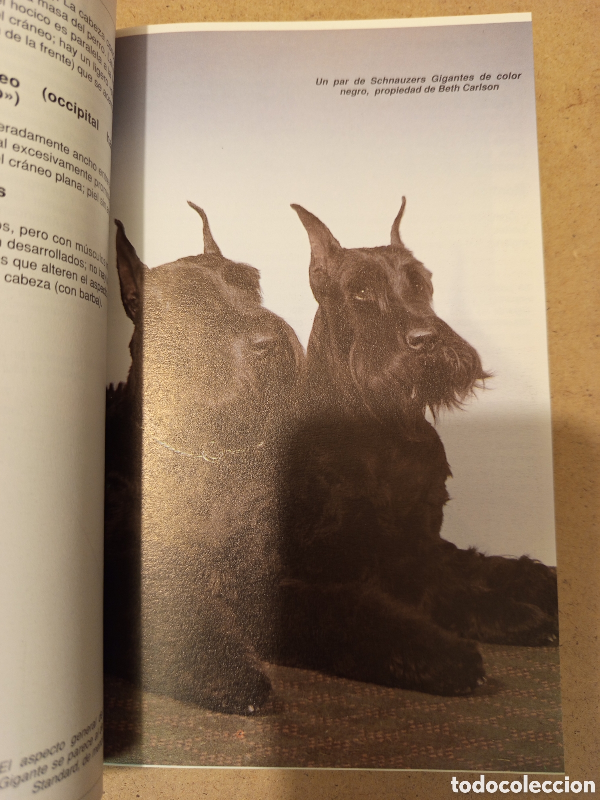 Libros de segunda mano: EL SCHNAUZER GIGANTE (ARTHUR S. LOCKLEY) - Foto 10