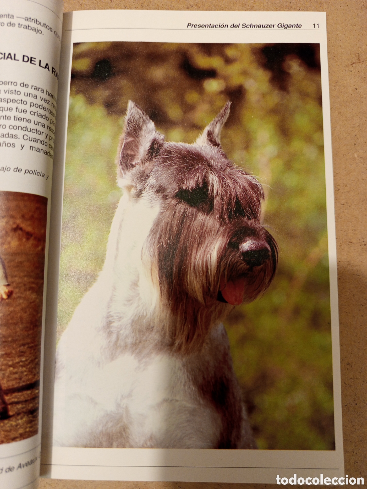 Libros de segunda mano: EL SCHNAUZER GIGANTE (ARTHUR S. LOCKLEY) - Foto 11
