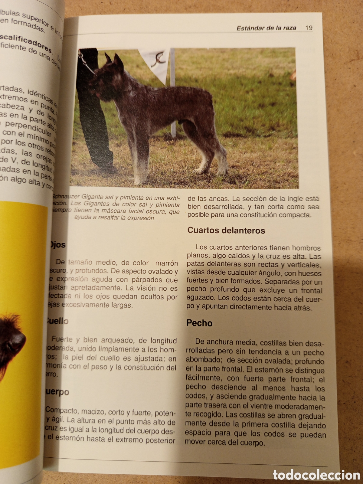 Libros de segunda mano: EL SCHNAUZER GIGANTE (ARTHUR S. LOCKLEY) - Foto 12