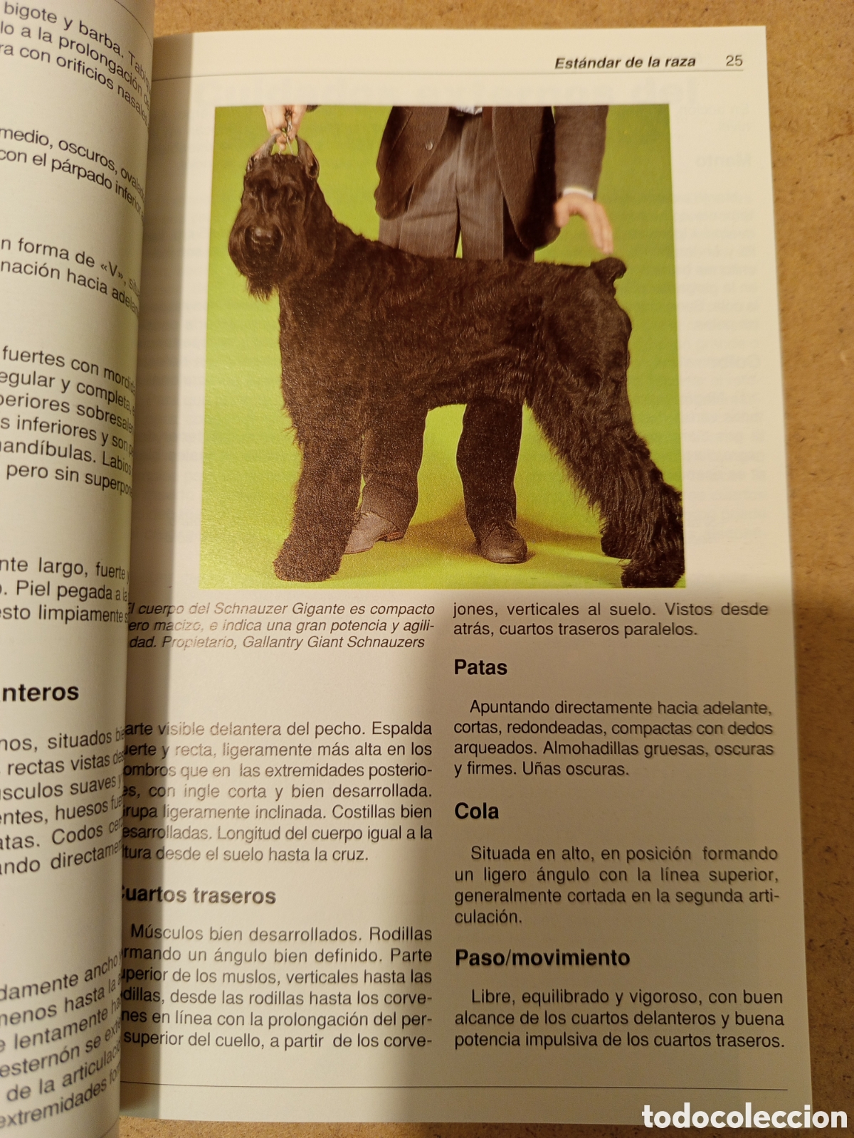 Libros de segunda mano: EL SCHNAUZER GIGANTE (ARTHUR S. LOCKLEY) - Foto 13