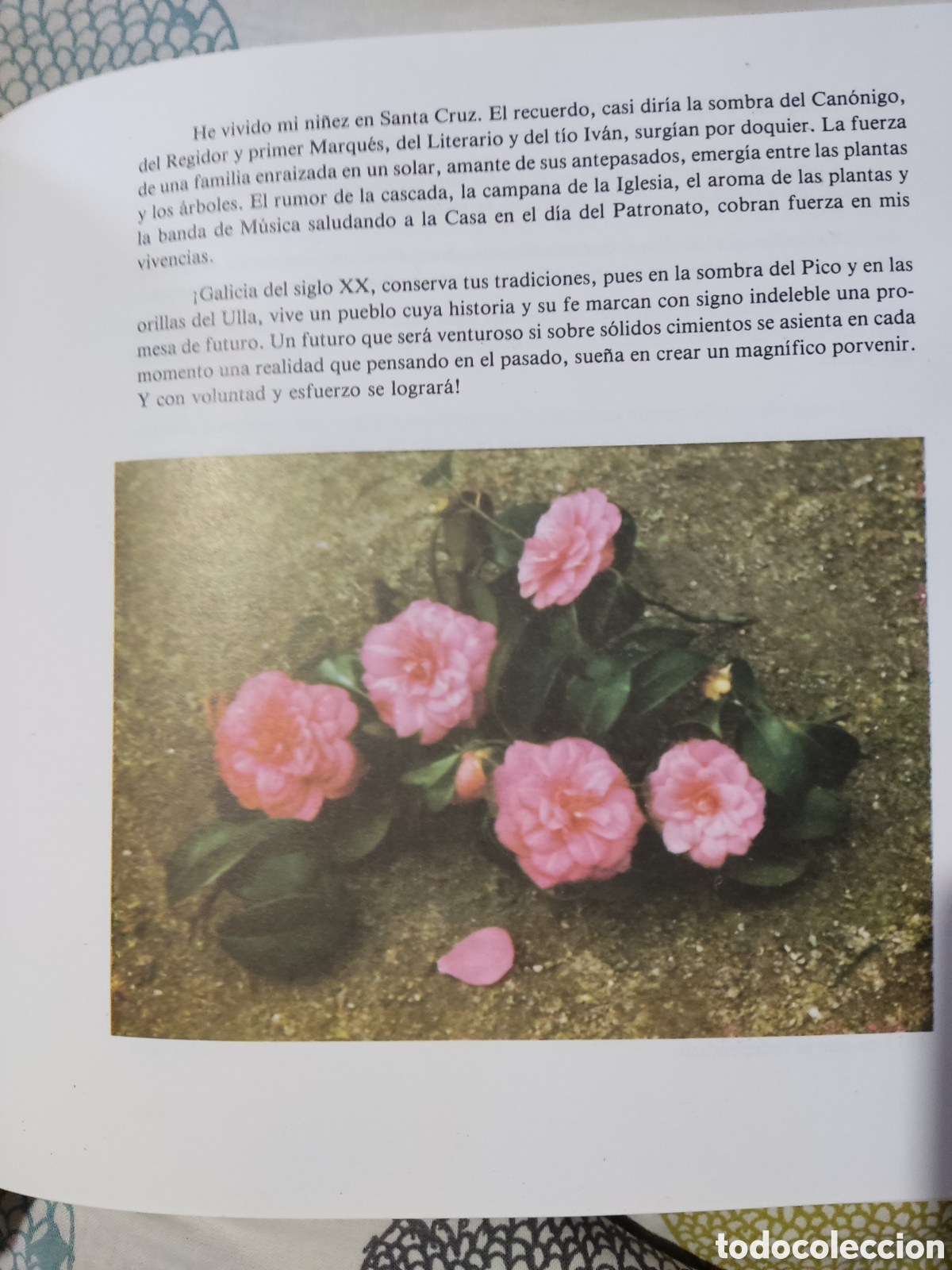 Libros de segunda mano: La camelia ( recopilaci&oacute;n) - Foto 4
