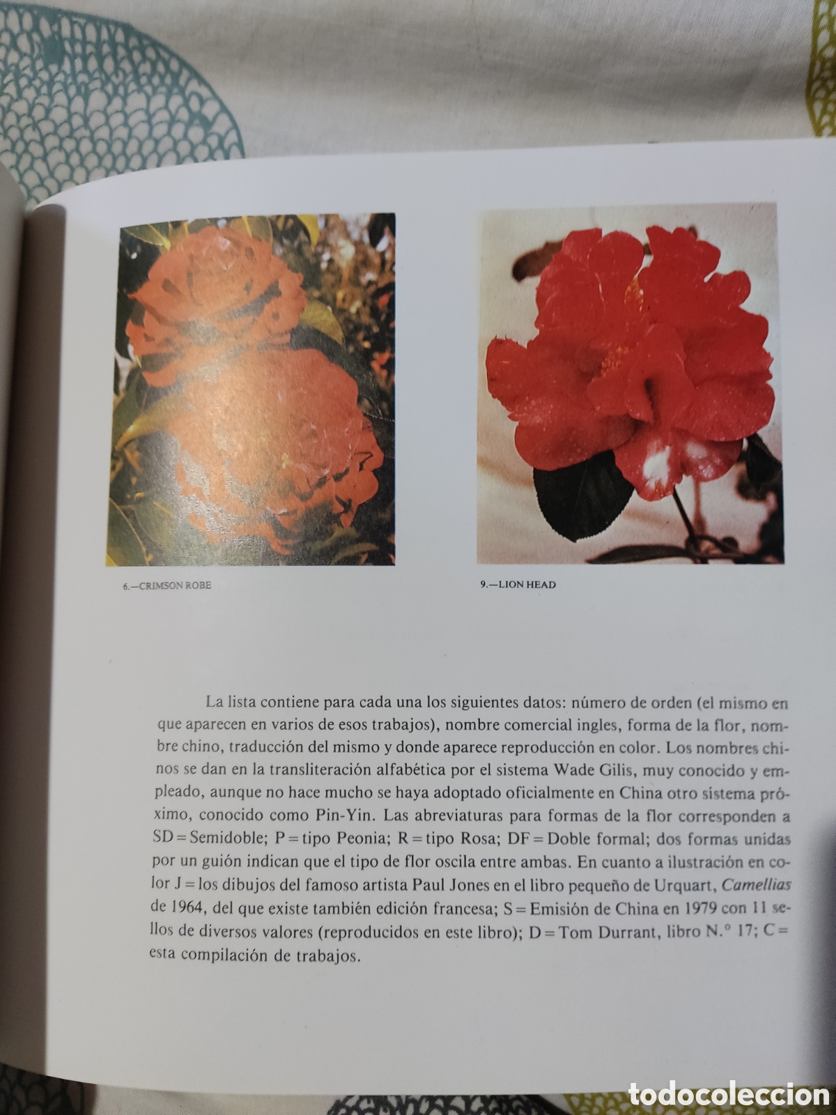 Libros de segunda mano: La camelia ( recopilaci&oacute;n) - Foto 5