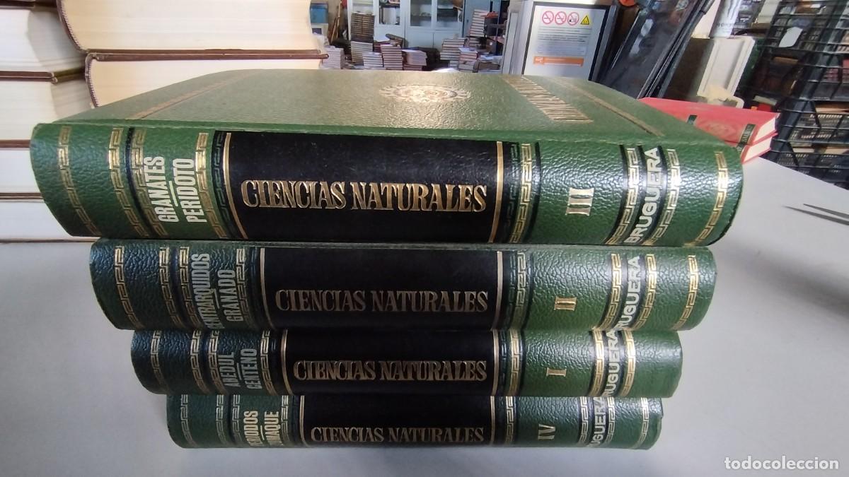 Libros de segunda mano: CIENCIAS NATURALES / BRUGUERA / 4 TOMOS - Foto 1