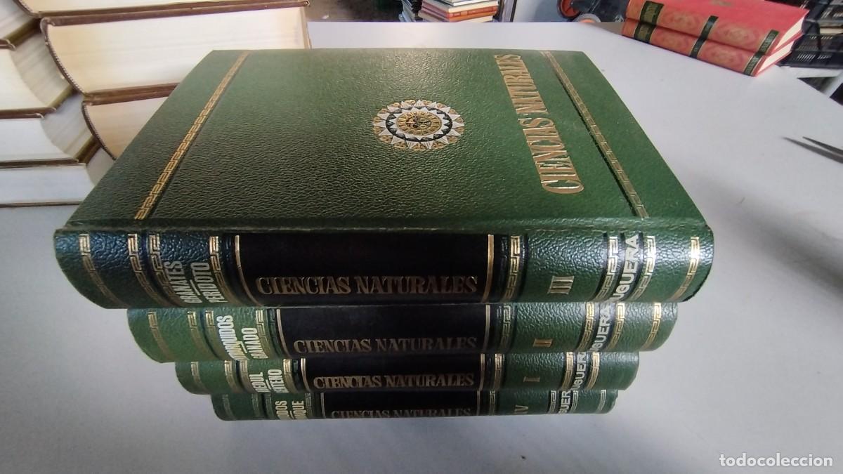 Libros de segunda mano: CIENCIAS NATURALES / BRUGUERA / 4 TOMOS - Foto 2