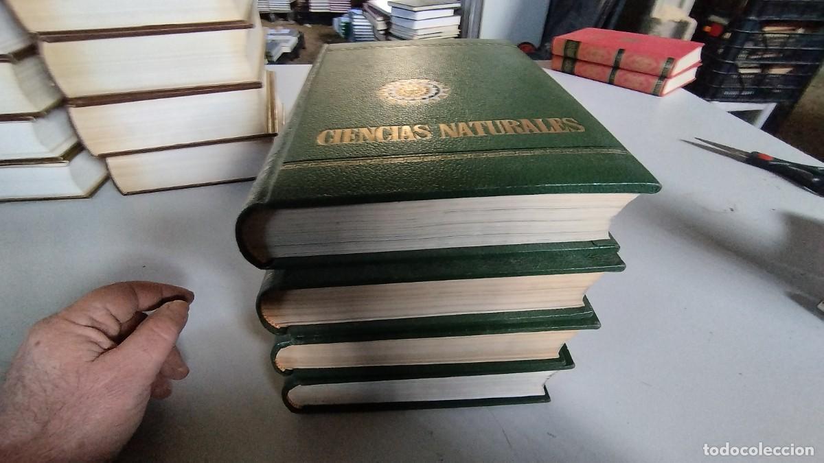 Libros de segunda mano: CIENCIAS NATURALES / BRUGUERA / 4 TOMOS - Foto 3