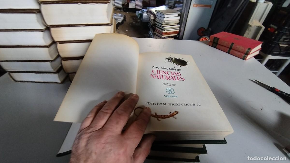 Libros de segunda mano: CIENCIAS NATURALES / BRUGUERA / 4 TOMOS - Foto 4