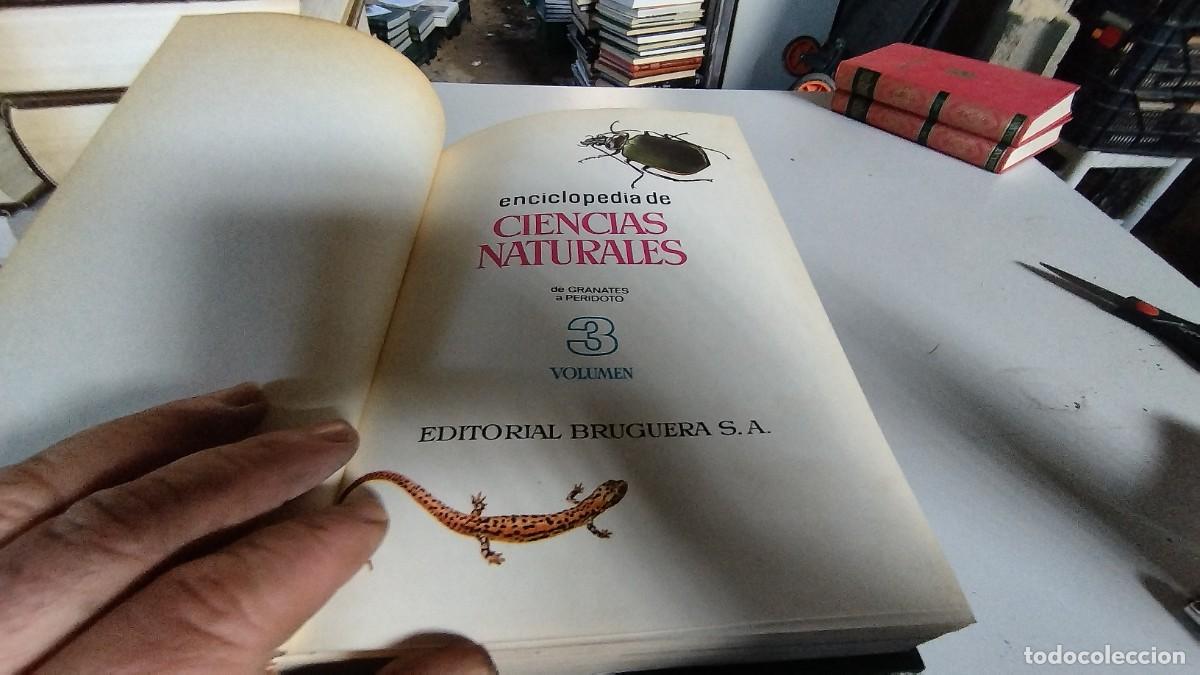 Libros de segunda mano: CIENCIAS NATURALES / BRUGUERA / 4 TOMOS - Foto 5
