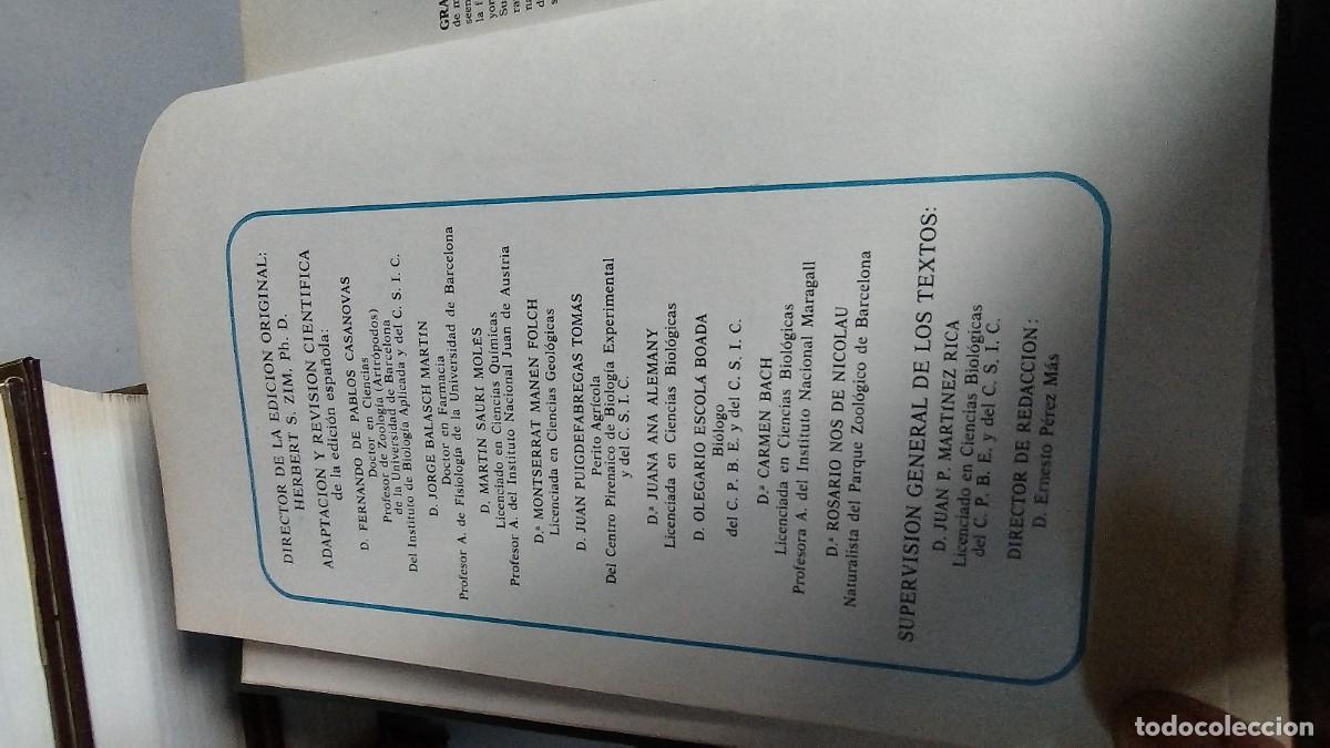 Libros de segunda mano: CIENCIAS NATURALES / BRUGUERA / 4 TOMOS - Foto 6