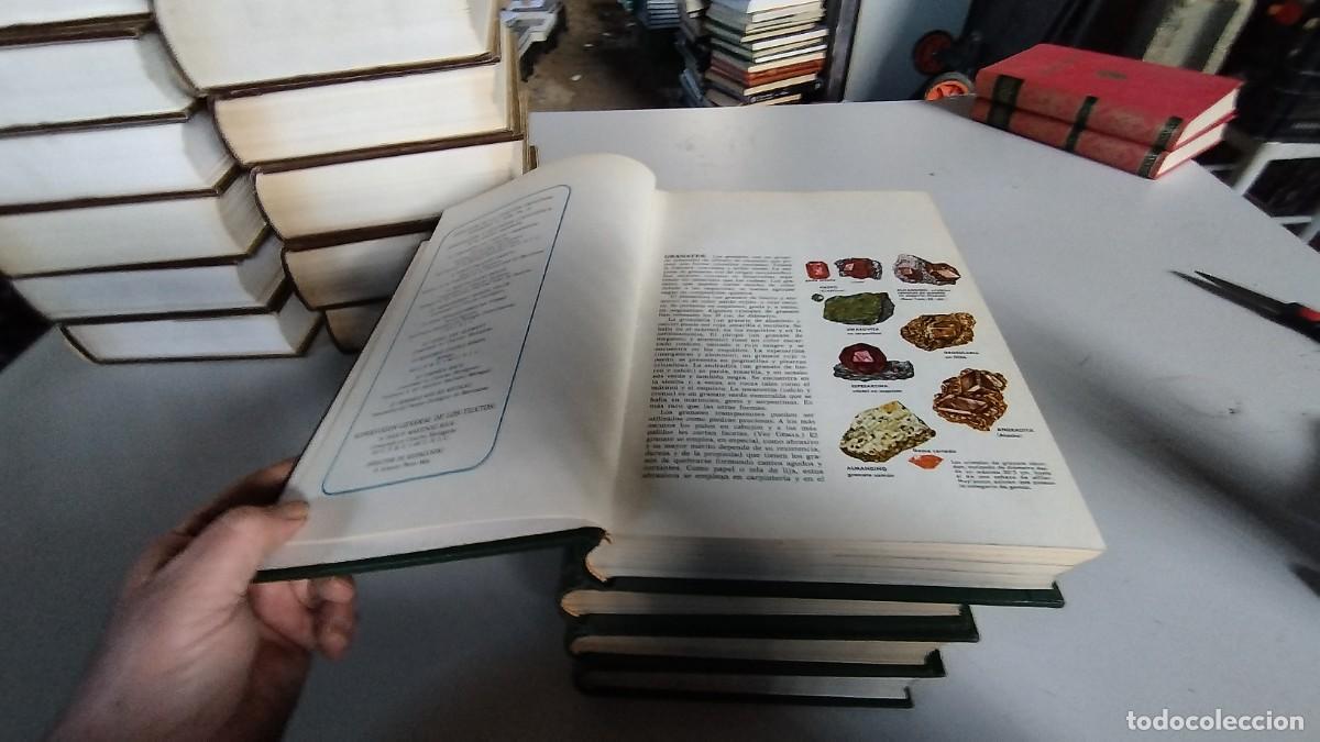 Libros de segunda mano: CIENCIAS NATURALES / BRUGUERA / 4 TOMOS - Foto 7