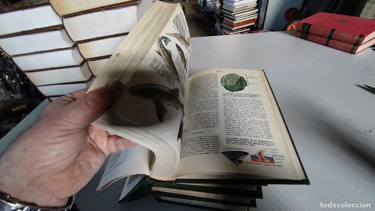 Libros de segunda mano: CIENCIAS NATURALES / BRUGUERA / 4 TOMOS - Foto 8