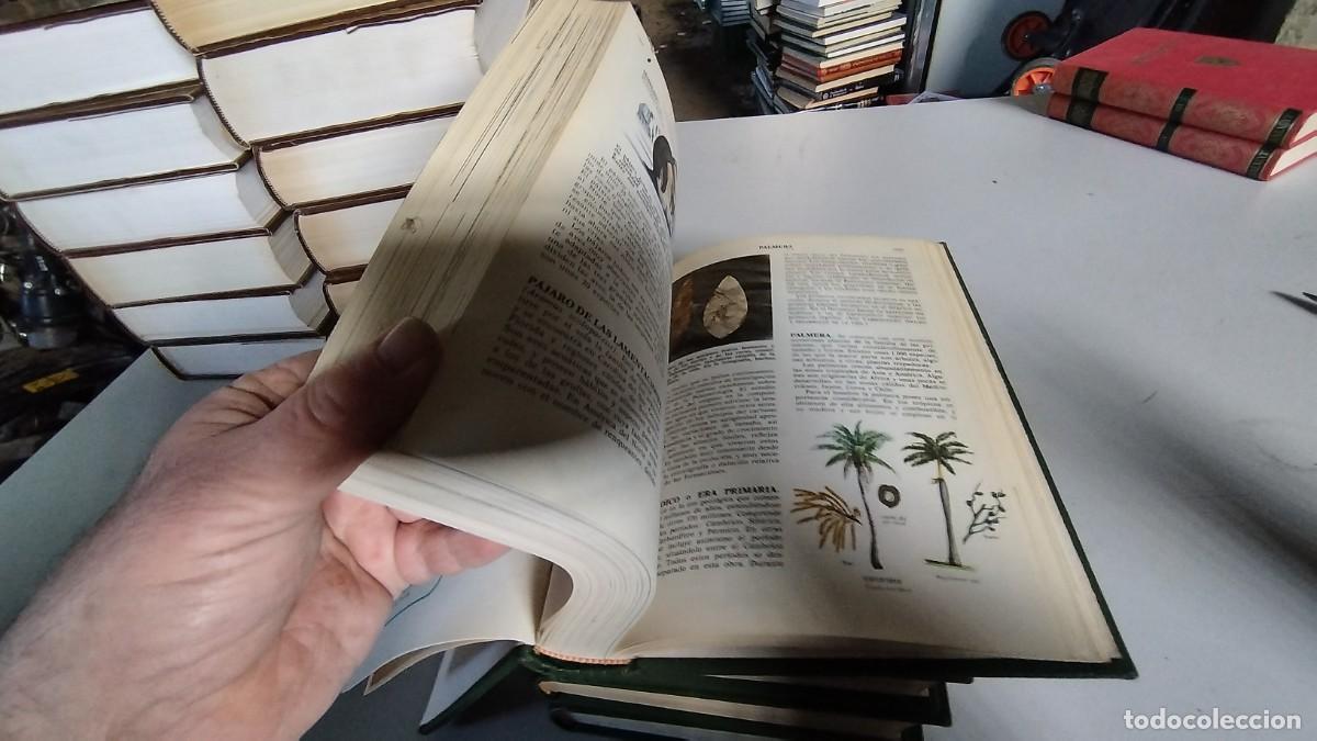 Libros de segunda mano: CIENCIAS NATURALES / BRUGUERA / 4 TOMOS - Foto 9