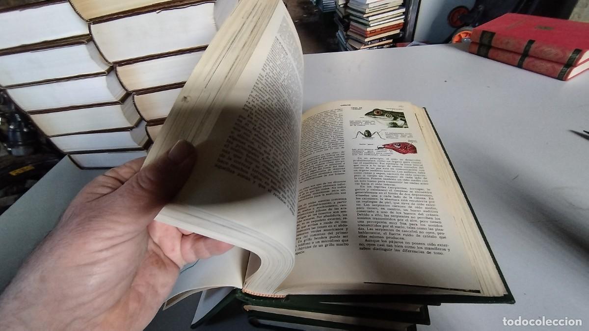 Libros de segunda mano: CIENCIAS NATURALES / BRUGUERA / 4 TOMOS - Foto 10