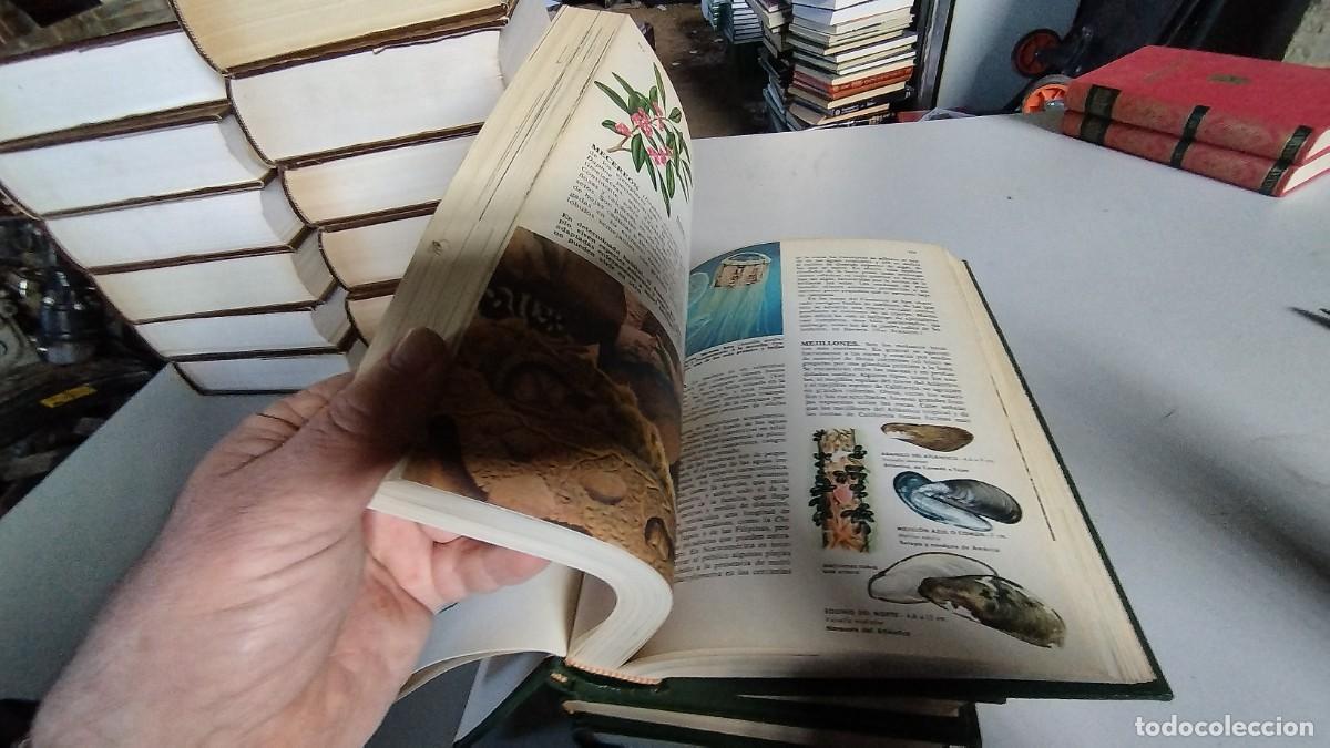 Libros de segunda mano: CIENCIAS NATURALES / BRUGUERA / 4 TOMOS - Foto 11