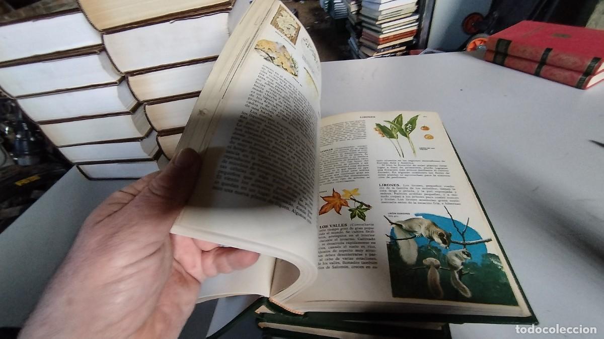 Libros de segunda mano: CIENCIAS NATURALES / BRUGUERA / 4 TOMOS - Foto 12