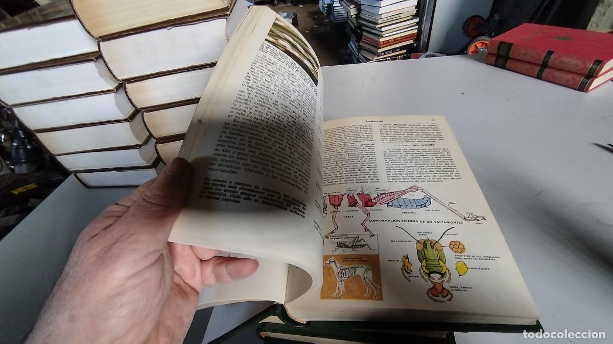 Libros de segunda mano: CIENCIAS NATURALES / BRUGUERA / 4 TOMOS - Foto 13