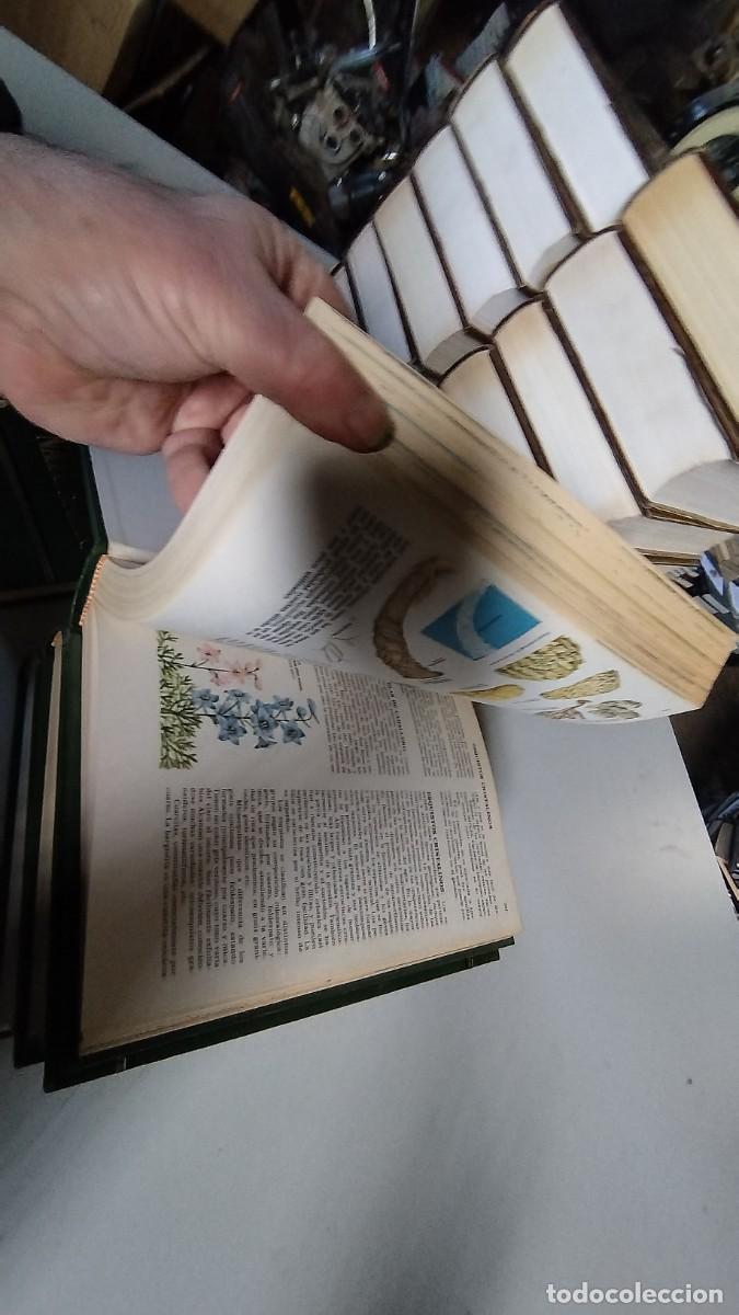 Libros de segunda mano: CIENCIAS NATURALES / BRUGUERA / 4 TOMOS - Foto 14