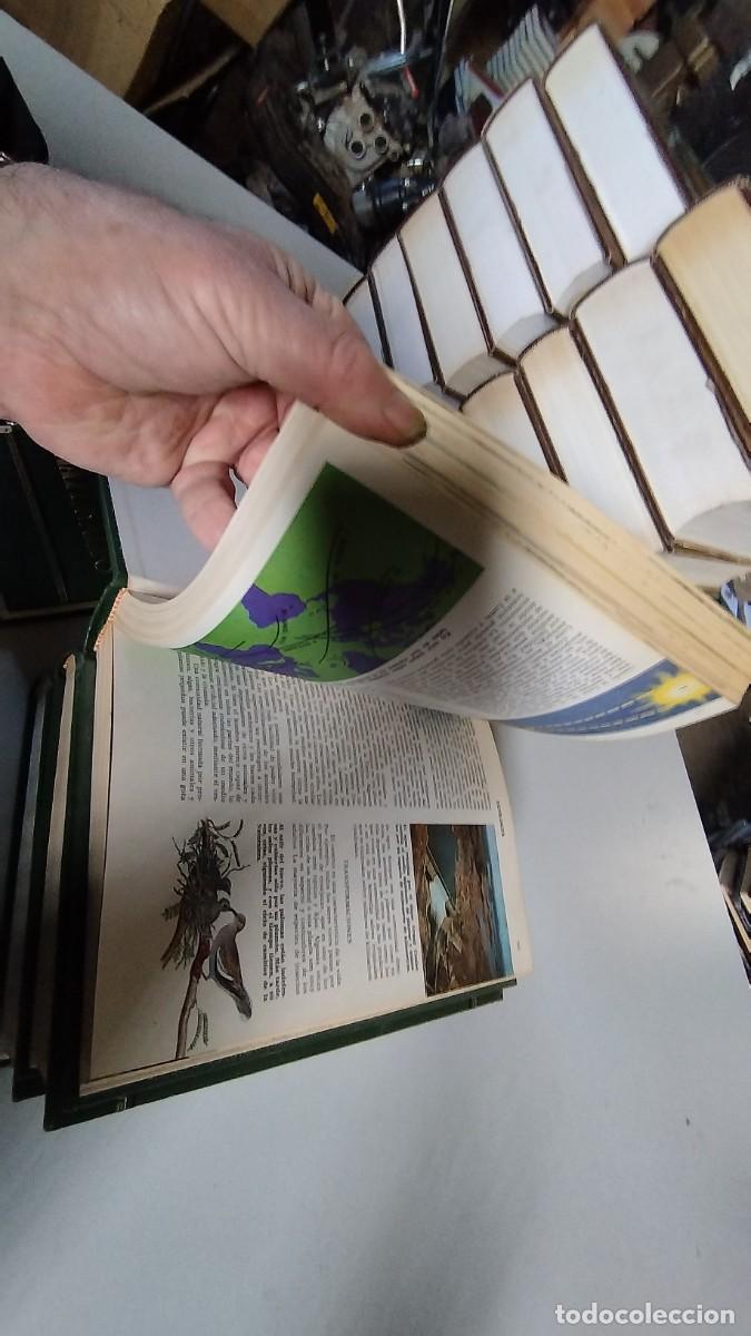 Libros de segunda mano: CIENCIAS NATURALES / BRUGUERA / 4 TOMOS - Foto 15