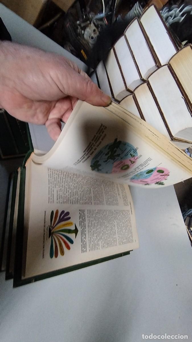 Libros de segunda mano: CIENCIAS NATURALES / BRUGUERA / 4 TOMOS - Foto 16