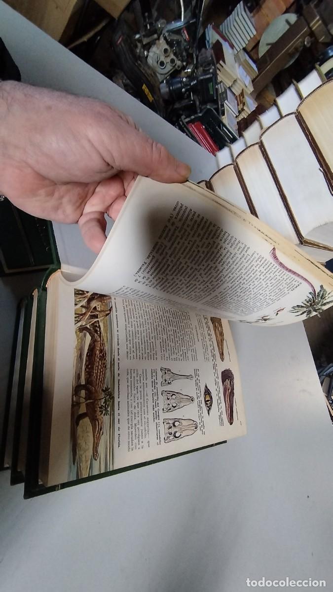 Libros de segunda mano: CIENCIAS NATURALES / BRUGUERA / 4 TOMOS - Foto 17