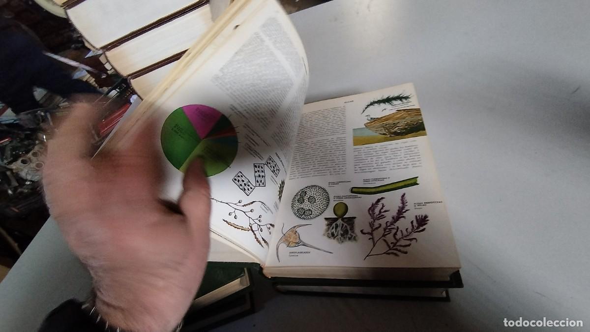 Libros de segunda mano: CIENCIAS NATURALES / BRUGUERA / 4 TOMOS - Foto 19