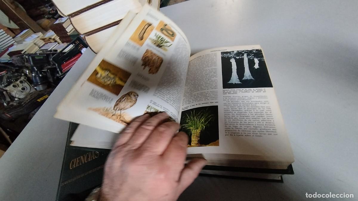 Libros de segunda mano: CIENCIAS NATURALES / BRUGUERA / 4 TOMOS - Foto 20