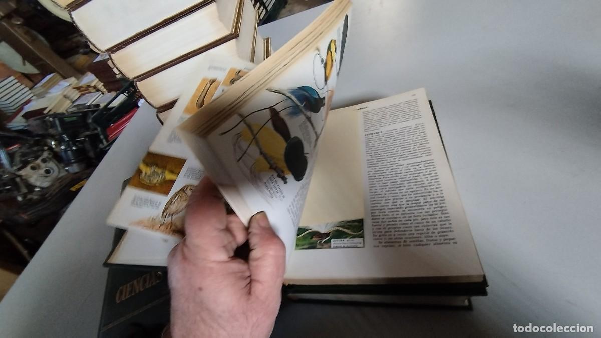 Libros de segunda mano: CIENCIAS NATURALES / BRUGUERA / 4 TOMOS - Foto 21