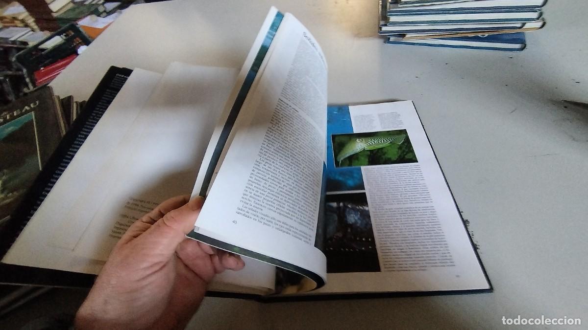 Libros de segunda mano: EL UNIVERSO DE JACQUES COUSTEAU-6 TOMOS-PLANETA - Foto 19