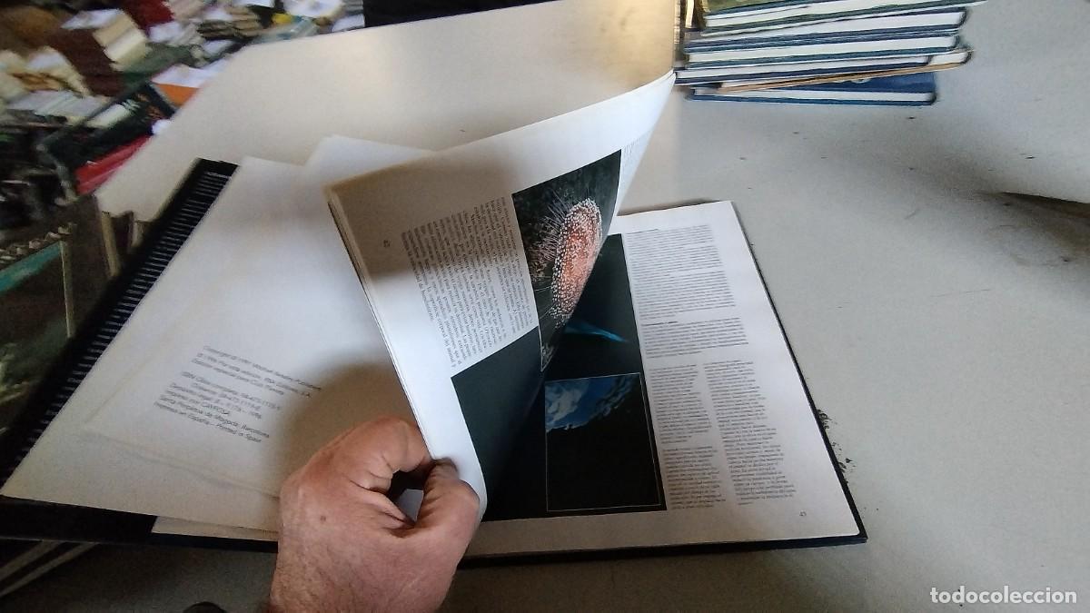 Libros de segunda mano: EL UNIVERSO DE JACQUES COUSTEAU-6 TOMOS-PLANETA - Foto 21