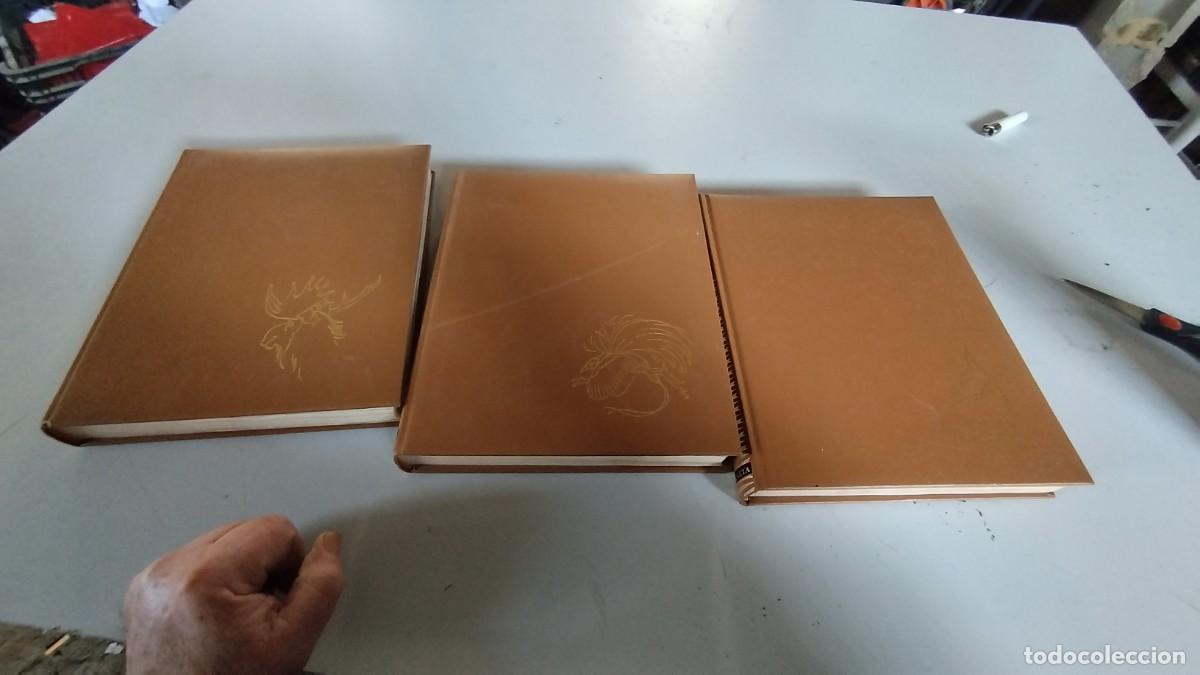 Libros de segunda mano: LA VIDA DE LOS ANIMALES -PLANETA - 3 TOMOS - - Foto 2