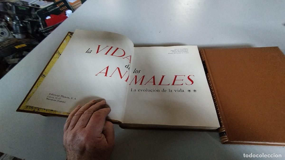 Libros de segunda mano: LA VIDA DE LOS ANIMALES -PLANETA - 3 TOMOS - - Foto 4