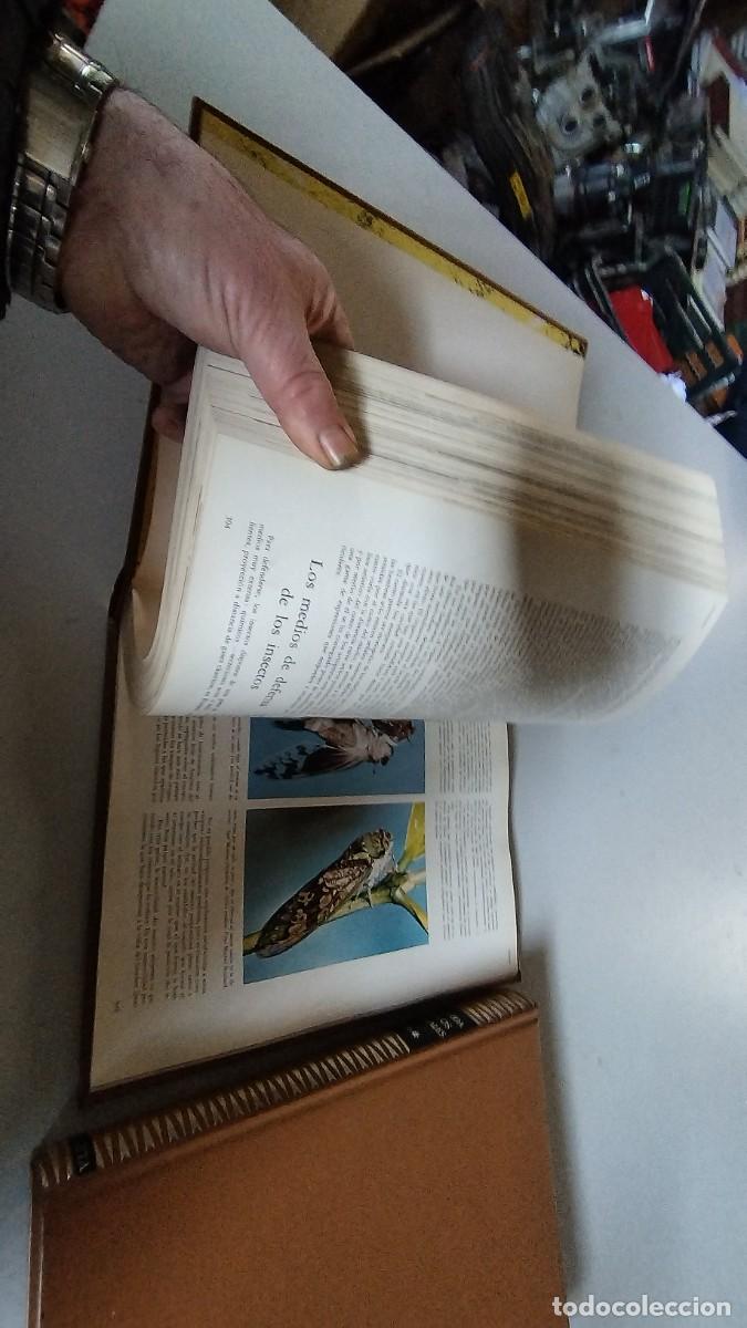 Libros de segunda mano: LA VIDA DE LOS ANIMALES -PLANETA - 3 TOMOS - - Foto 7