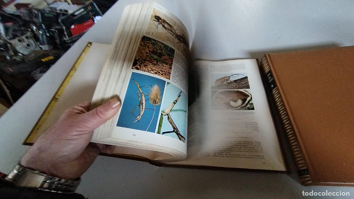 Libros de segunda mano: LA VIDA DE LOS ANIMALES -PLANETA - 3 TOMOS - - Foto 8