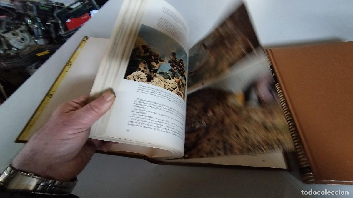 Libros de segunda mano: LA VIDA DE LOS ANIMALES -PLANETA - 3 TOMOS - - Foto 10