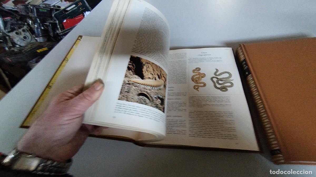 Libros de segunda mano: LA VIDA DE LOS ANIMALES -PLANETA - 3 TOMOS - - Foto 11