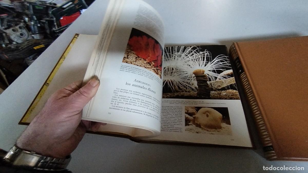 Libros de segunda mano: LA VIDA DE LOS ANIMALES -PLANETA - 3 TOMOS - - Foto 12