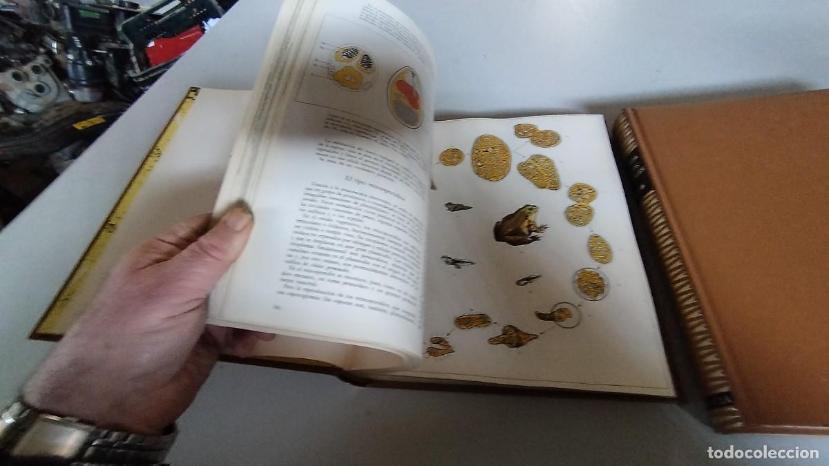 Libros de segunda mano: LA VIDA DE LOS ANIMALES -PLANETA - 3 TOMOS - - Foto 13