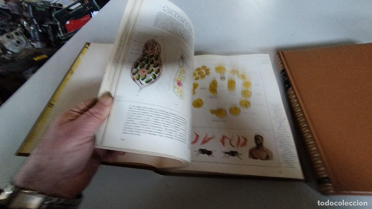 Libros de segunda mano: LA VIDA DE LOS ANIMALES -PLANETA - 3 TOMOS - - Foto 14
