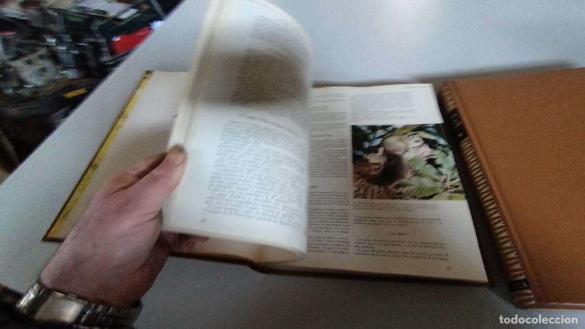 Libros de segunda mano: LA VIDA DE LOS ANIMALES -PLANETA - 3 TOMOS - - Foto 15