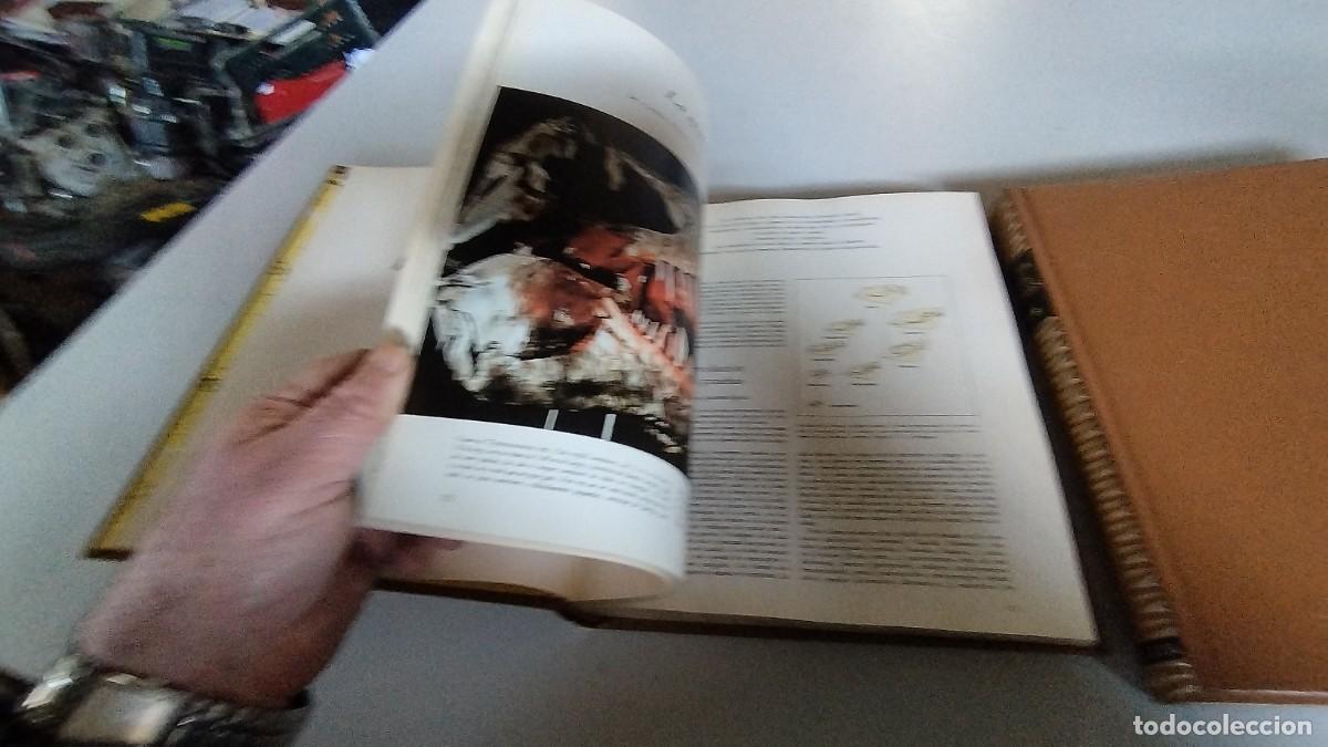 Libros de segunda mano: LA VIDA DE LOS ANIMALES -PLANETA - 3 TOMOS - - Foto 16