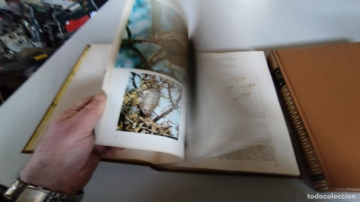 Libros de segunda mano: LA VIDA DE LOS ANIMALES -PLANETA - 3 TOMOS - - Foto 17