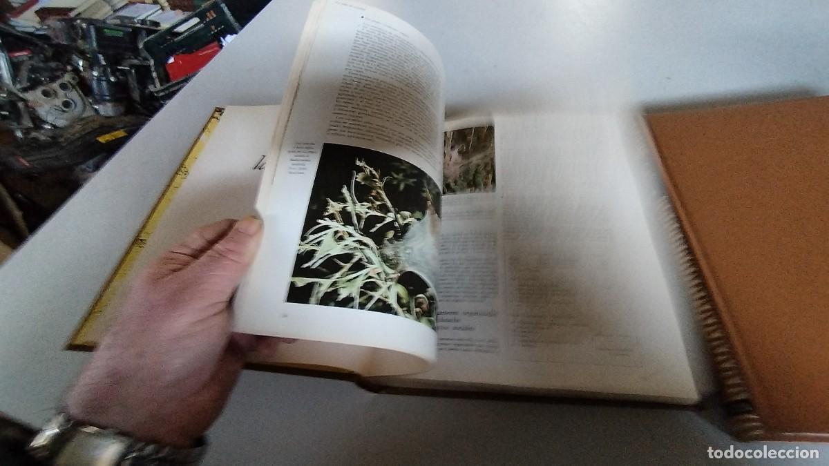Libros de segunda mano: LA VIDA DE LOS ANIMALES -PLANETA - 3 TOMOS - - Foto 18