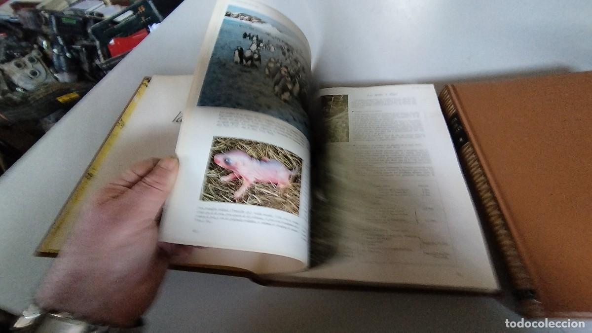 Libros de segunda mano: LA VIDA DE LOS ANIMALES -PLANETA - 3 TOMOS - - Foto 19