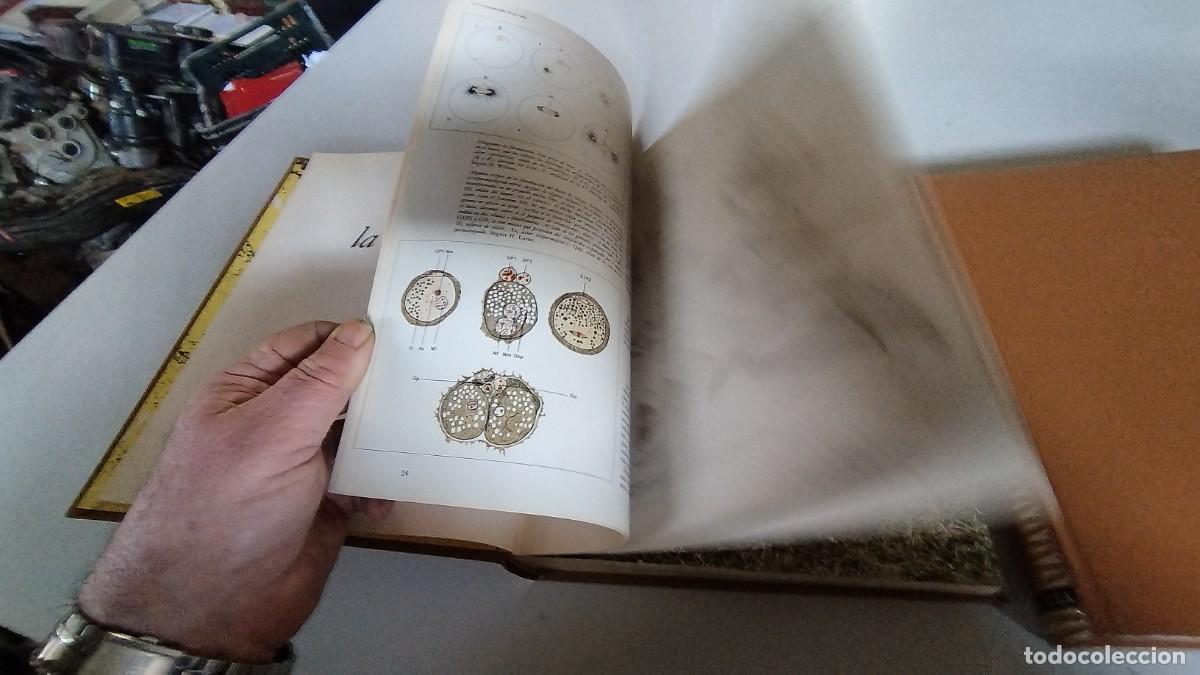 Libros de segunda mano: LA VIDA DE LOS ANIMALES -PLANETA - 3 TOMOS - - Foto 20