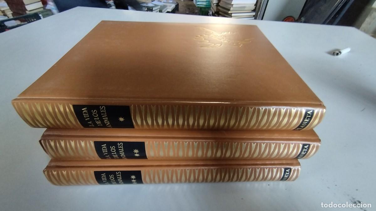 Libros de segunda mano: LA VIDA DE LOS ANIMALES -PLANETA - 3 TOMOS - - Foto 1