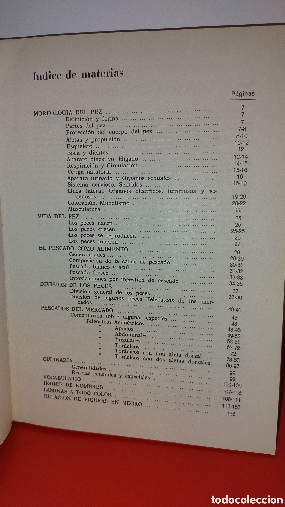 Libros de segunda mano: Pescado blanco y azul - Foto 3