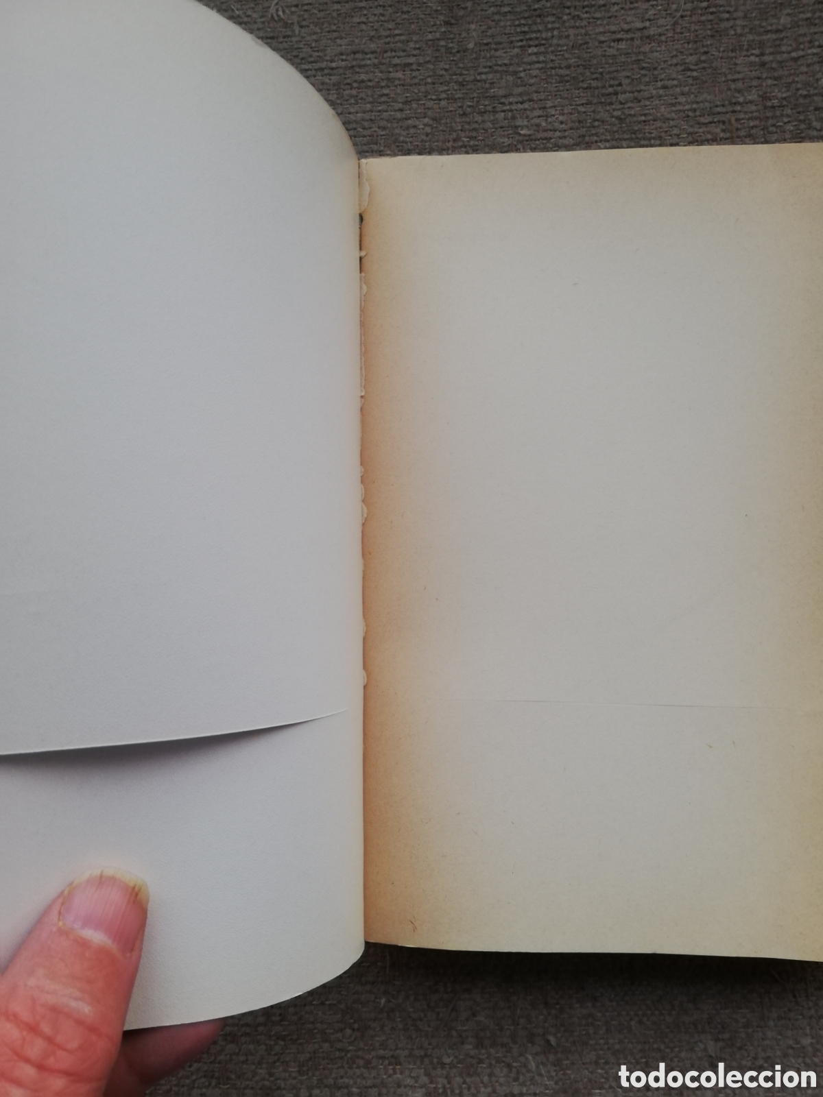 Libros de segunda mano de ciencias: Obras completas de Kurt G&ouml;del - Foto 3
